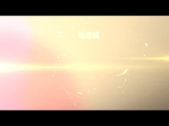 เครื่องขัดแปรง DT1000-6S