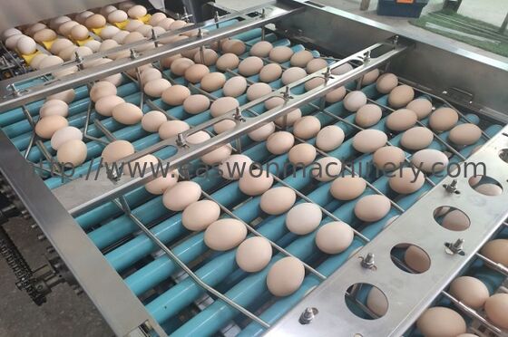 30,000 Eggs/hour LED Candling Electronic Egg Grading Sorting Machine